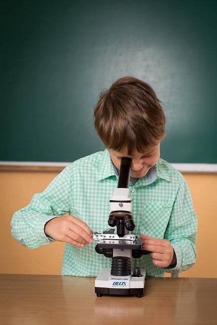 Comment initier son enfant à la science ?